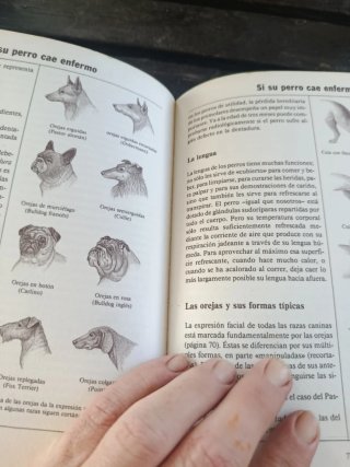 El nuevo libro del perro