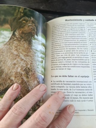 El nuevo libro del perro