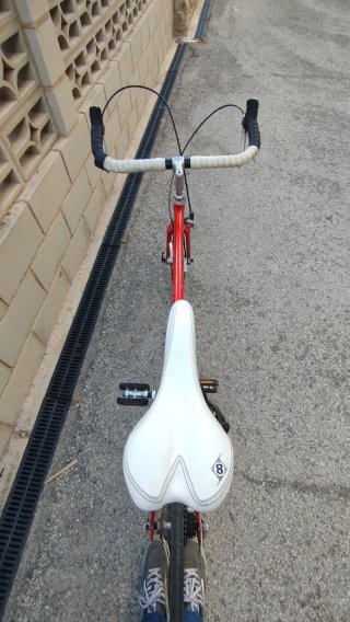 Bicicleta vintage de Carretera