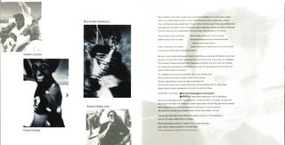 CD Sting – The Dream Of The Blue Turtles