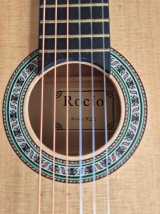 Guitarra Rocio N° 20