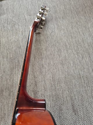 Guitarra Rocio N° 20