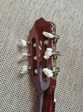 Guitarra Rocio N° 20