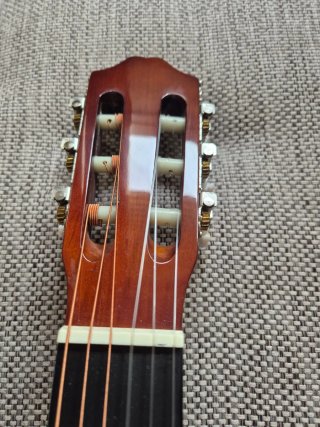 Guitarra Rocio N° 20