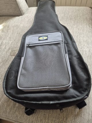 Guitarra Rocio N° 20
