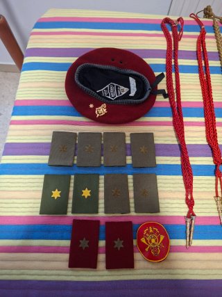 Lote Militaria Española: Insignias, Galones, Gorra