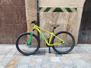 Bicicleta de Montaña