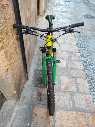 Bicicleta de Montaña