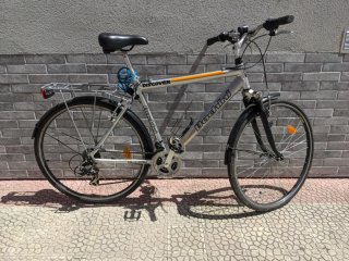 Bicicleta de paseo Bachini Discover talla L