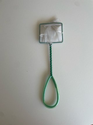 Pecera de cristal con tapa