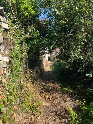 Finca urbana en La Mera ( Silleda)