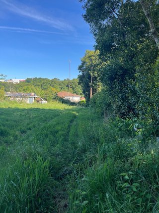 Finca urbana en La Mera ( Silleda)