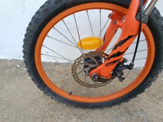 Bicicleta infantil Wyldee 20''