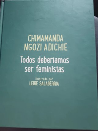 Libro ilustrado,"todos deberíamos ser feministas