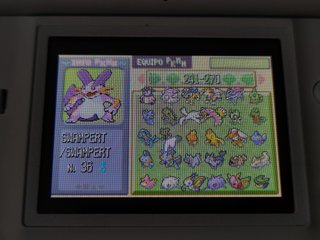 Pokemon Rubí GBA - Pokedex Completa - Original