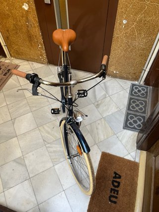 Bicicleta Estilo Vintage
