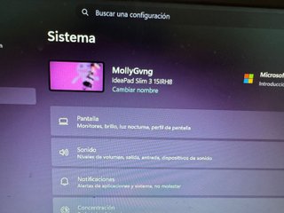 Lenovo IdeaPad Slim 3 (15IRH8) Gris