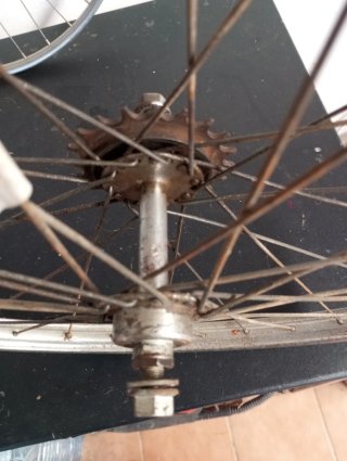 Juego ruedas bicicleta varillas Orbea 650b
