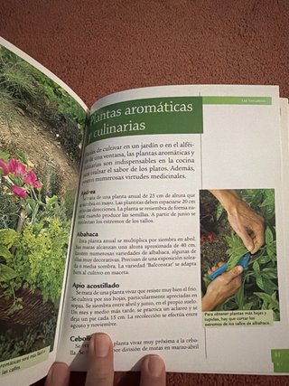 Consiga su pequeño huerto - Tikal