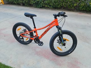 Bicicleta Specialized Riprock 20