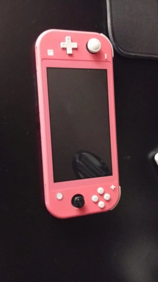 Nintendo Switch Lite Rosa + Custodia