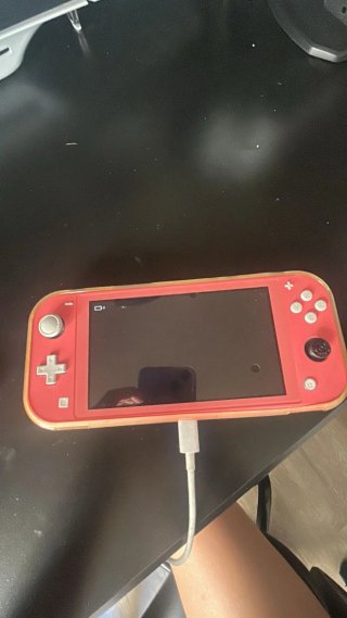 Nintendo Switch Lite Rosa + Custodia