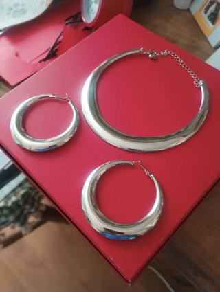 Gargantilla y pendientes plateados