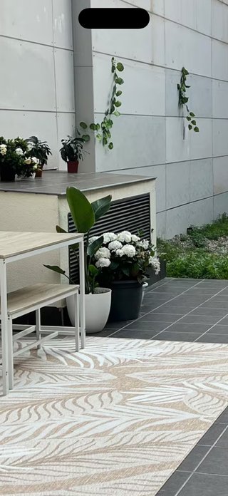 Plantas: Flores blancas y bananera