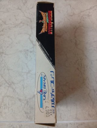 Super Famicom Golden Fighter Hyperversion