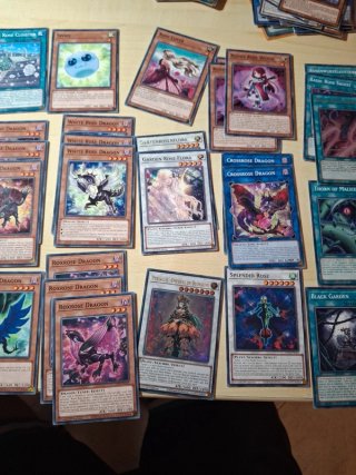 Deck Yu-Gi-Oh! Rose Dragon