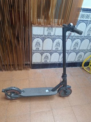 Patinete Eléctrico Xiaomi