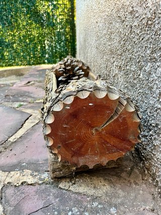 Portavasi tronco in pino massiccio decorativo