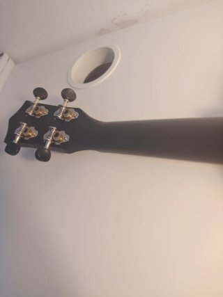 Ukulele in legno scuro