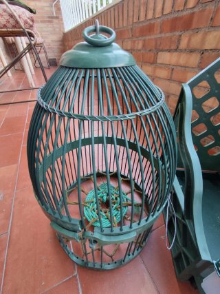 4 Jaulas de Perdices con Casilleros.