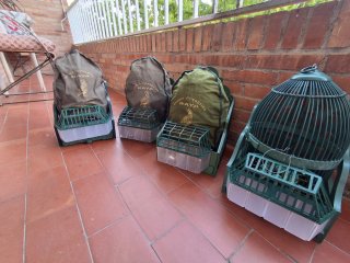 4 Jaulas de Perdices con Casilleros.
