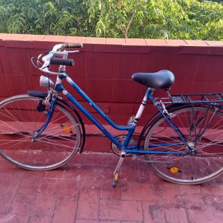 Bicicleta Clásica Azul