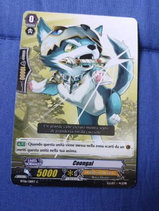 Carte Vanguard - Paladino Dorato