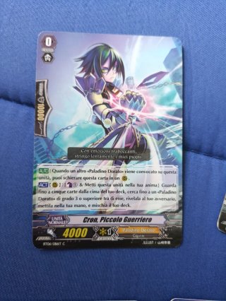 Carte Vanguard - Paladino Dorato