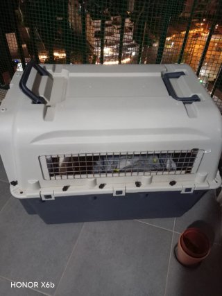 Gabbia per cani da viaggio ML90 Beige/Grigio