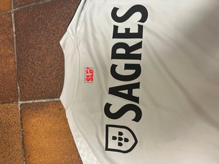 Camiseta Oficial Benfica Adidas Color Gris