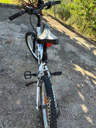 Bicicleta infantile Decathlon 20 pollici
