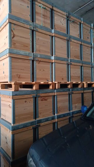 40 Colmenas Layens Nuevas
