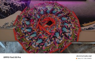 Carte Pokémon Inferno x