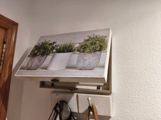 Cuadro Decorativo Plantas Macetas