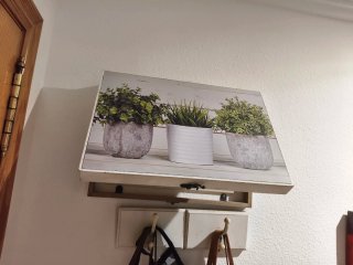 Cuadro Decorativo Plantas Macetas