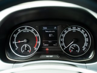 Skoda Fabia 2021 MUY EQUIPADO
