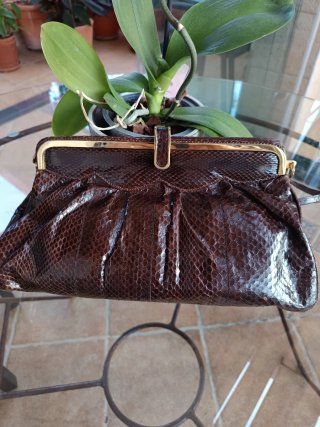 Bolso piel serpiente marrón y dorado