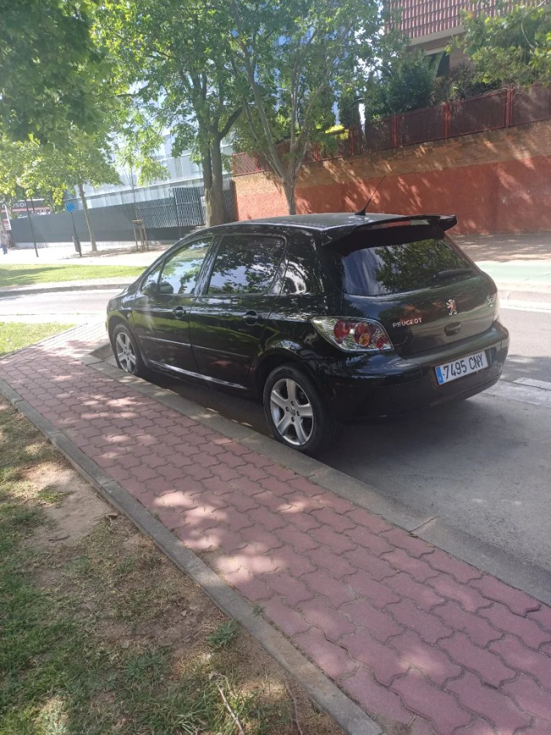 Peugeot 307 2003 - foto 1