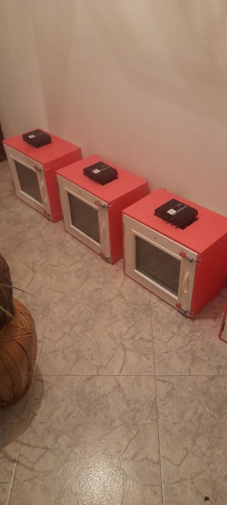 Cajón educador pájaros c/ amplificador