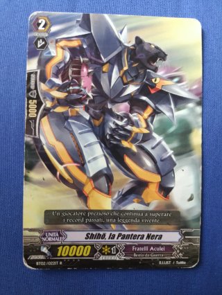 Carte Vanguard Fratelli Aculei